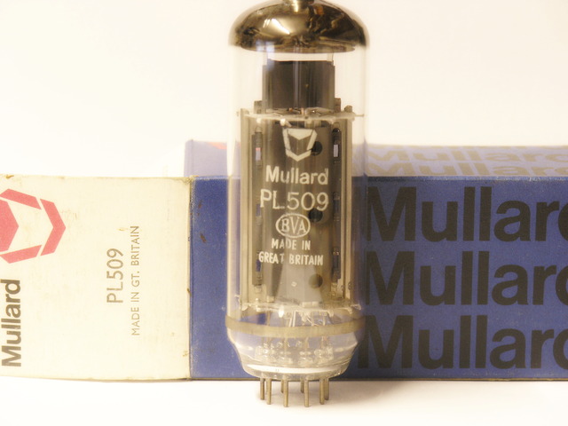 PL509.jpg